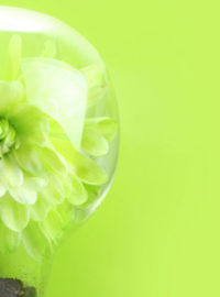slider-blog