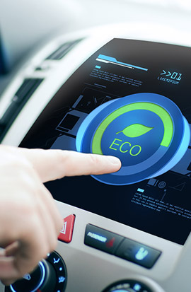 Ecosystem 3